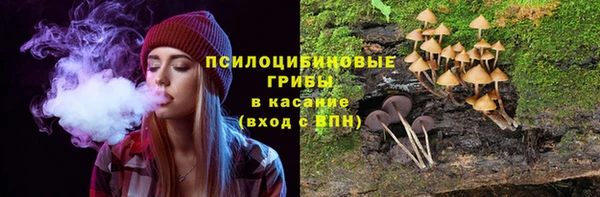 дмт Володарск