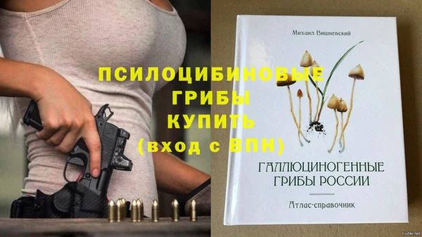 синтетический гашиш Бородино
