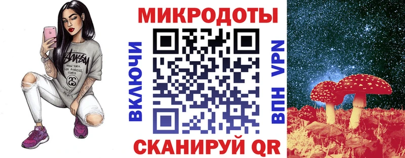 блэк спрут ONION  Заволжск  Галлюциногенные грибы GOLDEN TEACHER 